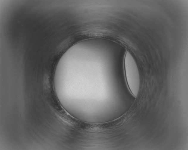 X0000073490258200607310924