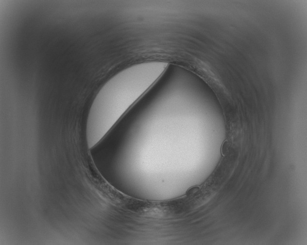 X0000073490259200607310924