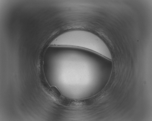 X0000073490260200607310924