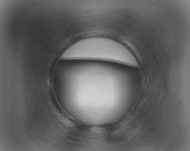 X0000073490261200607310924