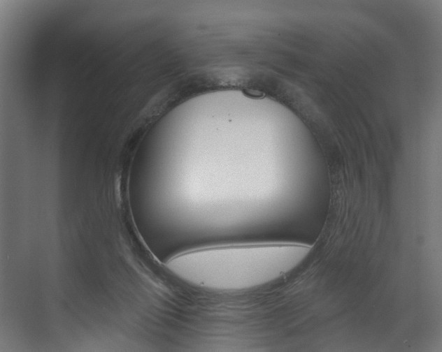 X0000073490262200607310924