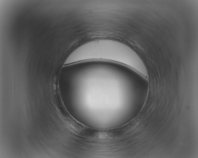 X0000073490264200607310924