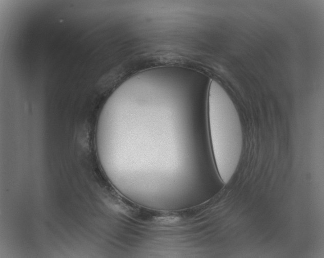 X0000073490266200607310924