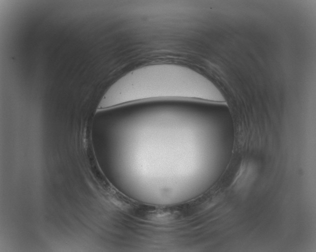 X0000073490267200607310924