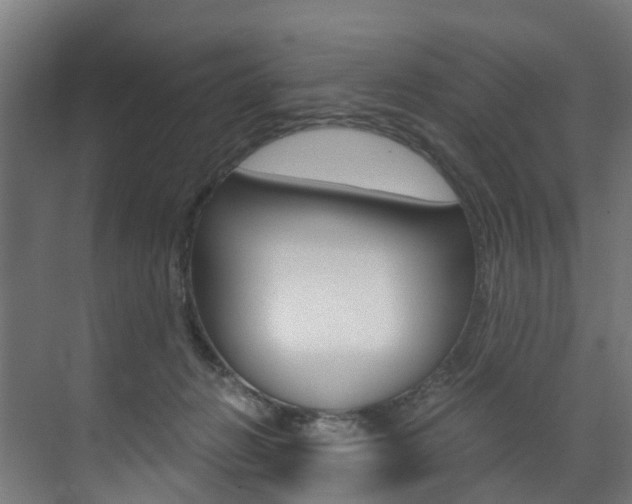 X0000073490270200607310924