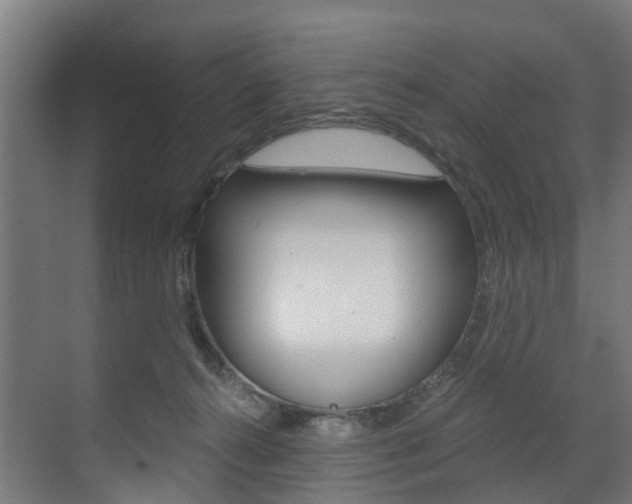 X0000073490272200607310924