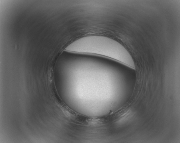 X0000073490273200607310924