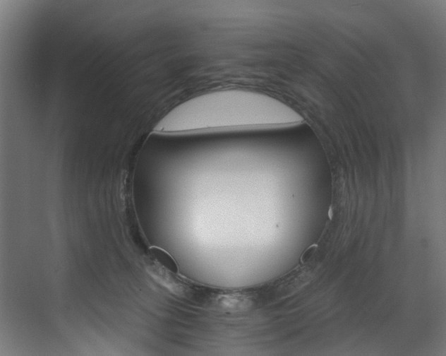 X0000073490275200607310924