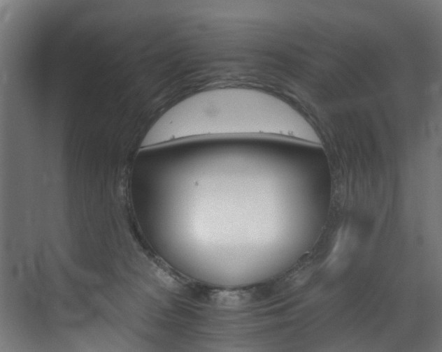 X0000073490277200607310924