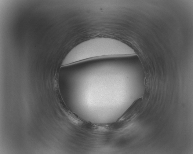 X0000073490285200607310925