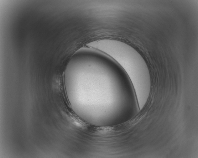 X0000073490288200607310925