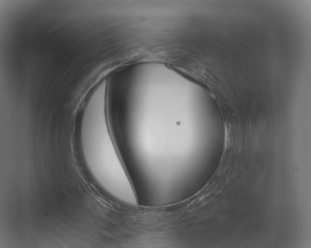 X0000073490291200607310924