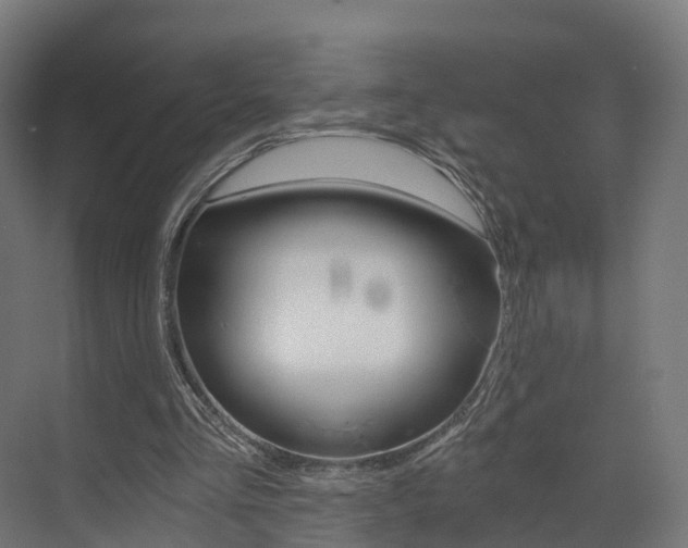 X0000073490293200607310924