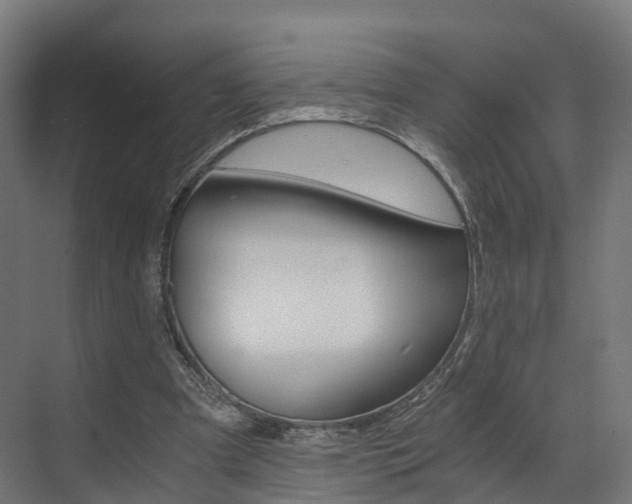 X0000073490297200607310924