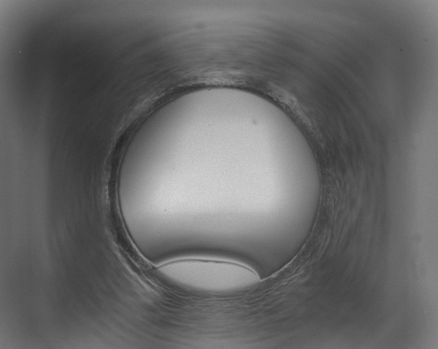 X0000073490299200607310924