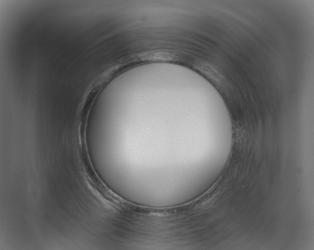 X0000073490302200607310924