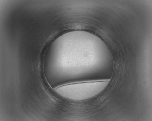 X0000073490304200607310924