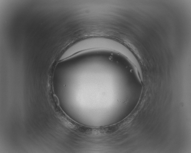 X0000073490305200607310924
