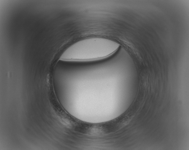 X0000073490308200607310924