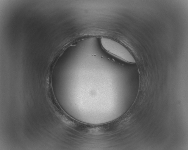 X0000073490309200607310924