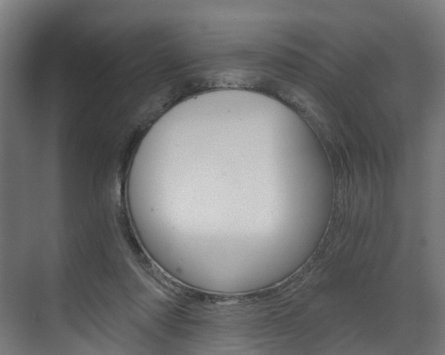 X0000073490310200607310923