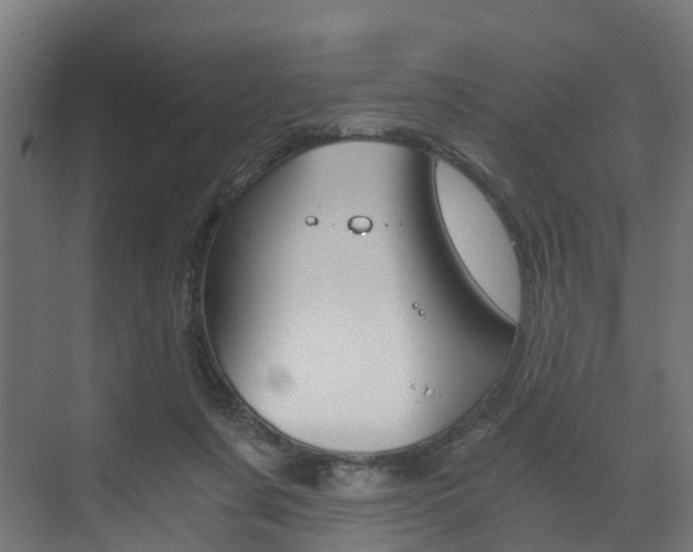 X0000073490311200607310923