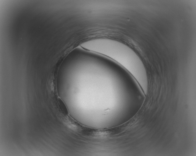 X0000073490313200607310923