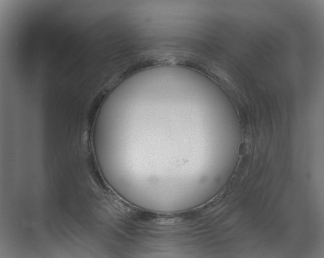 X0000073490314200607310923