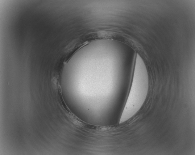 X0000073490329200607310923