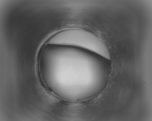 X0000073490342200607310922