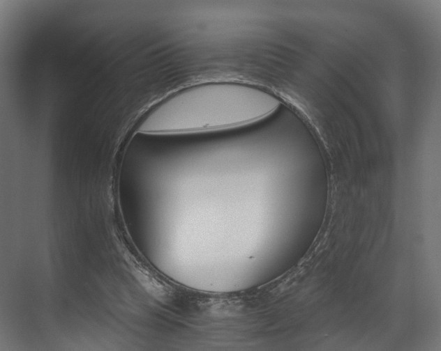 X0000073490345200607310922