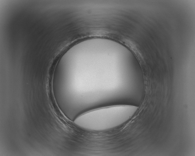 X0000073490346200607310922
