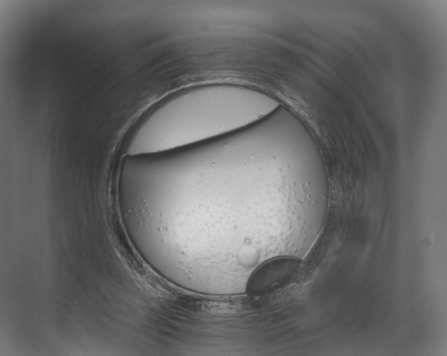 X0000073490347200607310922