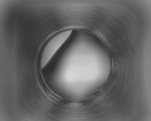 X0000073490348200607310922