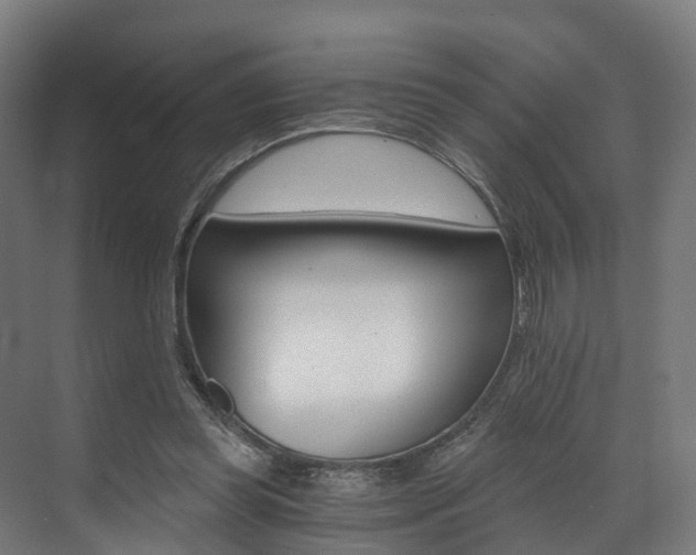 X0000073490349200607310922