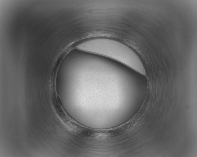 X0000073490352200607310923