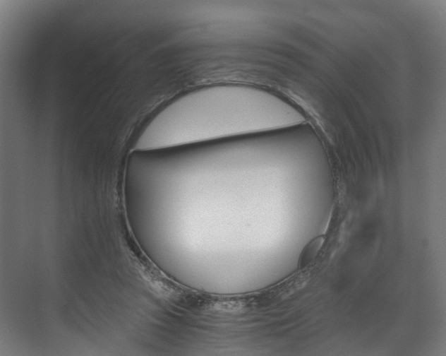 X0000073490353200607310923