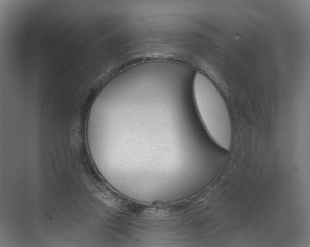 X0000073490354200607310923