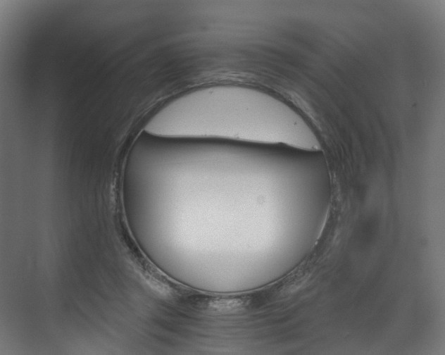 X0000073490357200607310923