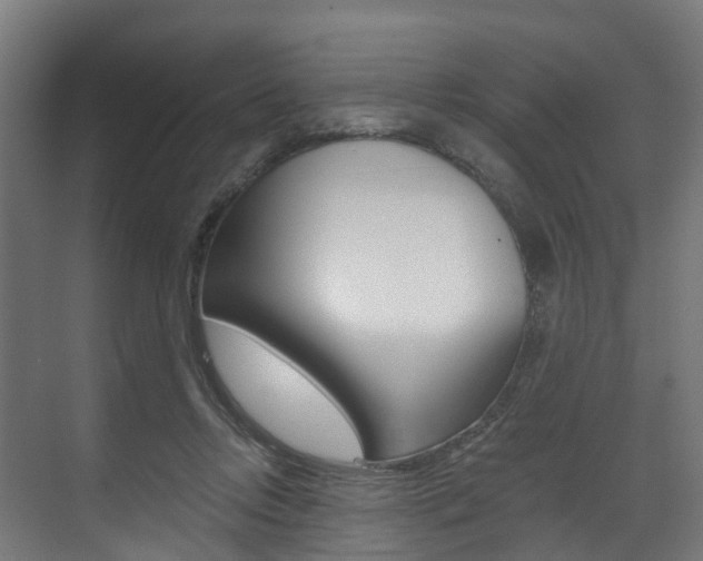 X0000073490358200607310923