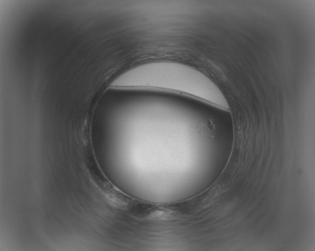 X0000073490364200607310923