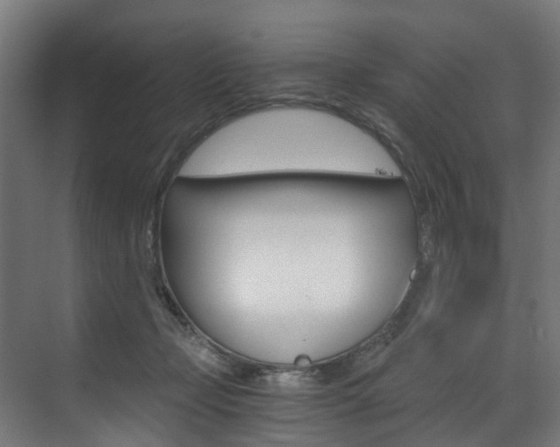 X0000073490365200607310923