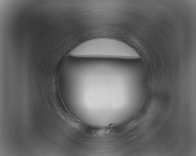 X0000073490366200607310923