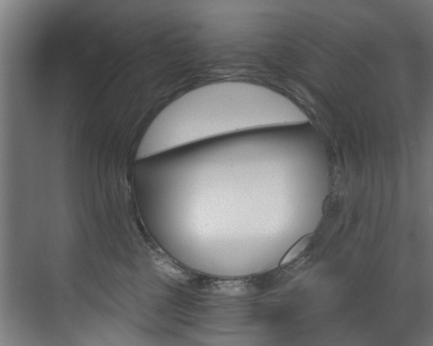 X0000073490377200607310923