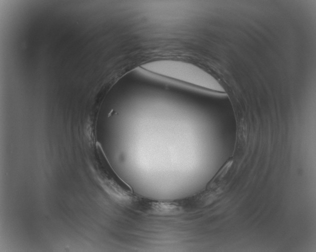 X0000073490380200607310923