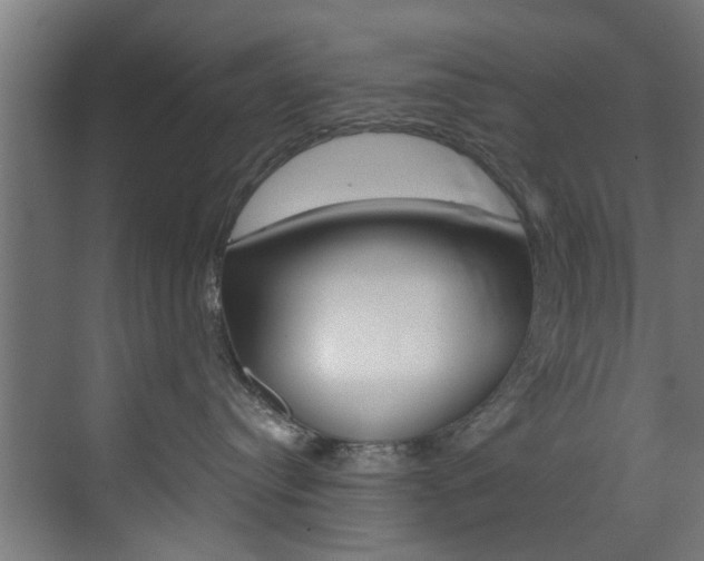 X0000073490384200607310923