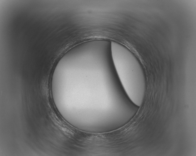 X0000073490386200607310922