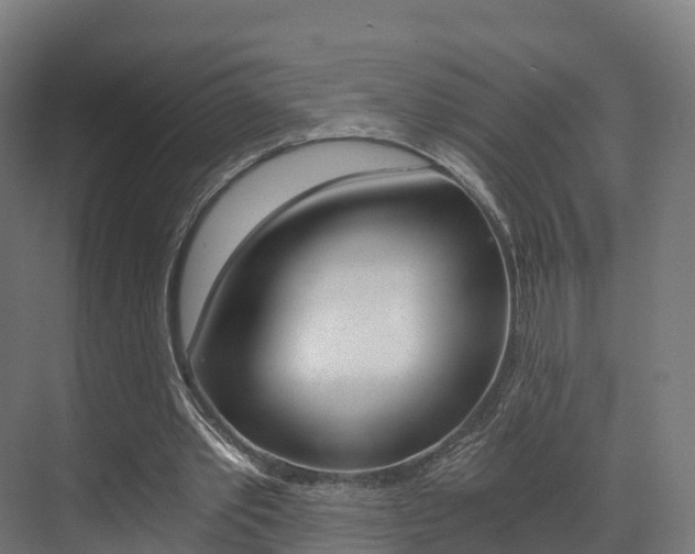X0000073490389200607310922