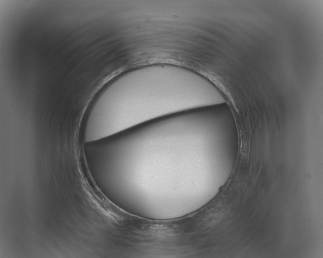 X0000073490390200607310922