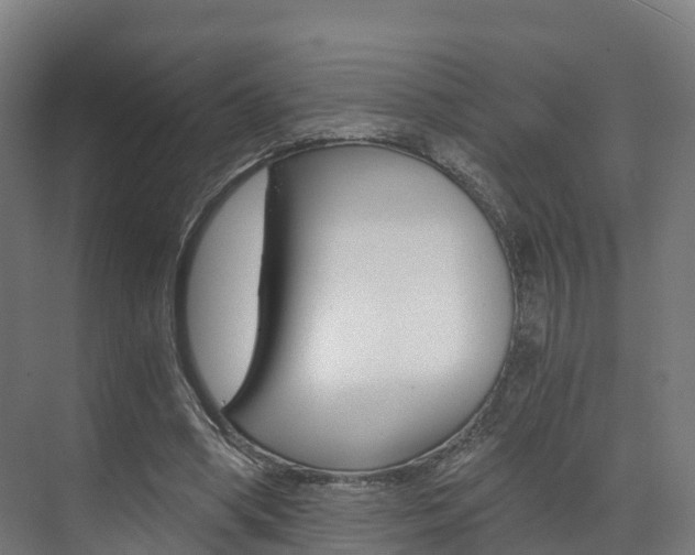 X0000073490394200607310922
